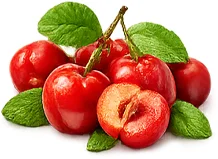 Acerola-Fruchtextrakt (Malpighia glabra) — Fruchtextrakt in {{OFFER_NAME}}